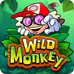 Wild Monkey