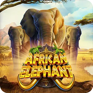African Elephant
