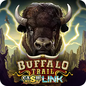 Buffalo Trail – Cash Mesh LINK
