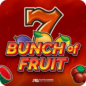 Bunch of Fruit