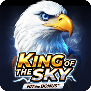 King of the Sky: Hit the Bonus™